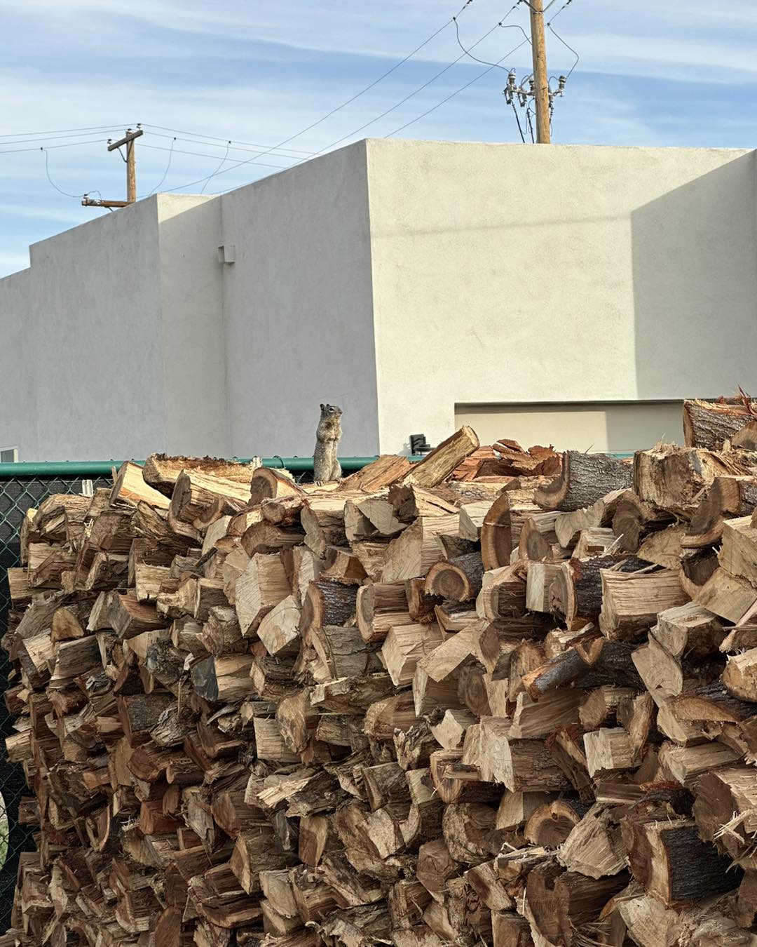High-quality mesquite firewood available at Phoenix Firewood LLC. Call (480) 331-5598 to order today!